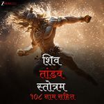 Shiv Tandav Stotram - 108 Naam Sahit