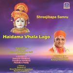 Shreejibapa Samru (Haidama Vhala Lago)