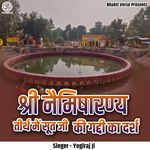 Shri Naimisharanya Tirth Me Sut Ji Ki Gaddi Ka Darsh