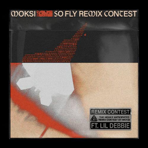 So Fly (Remix Contest)_poster_image