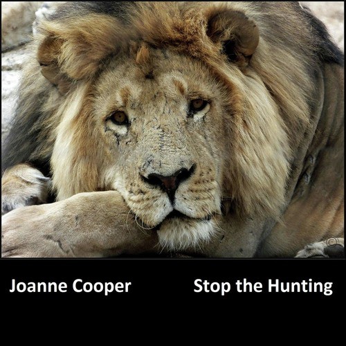 Stop the Hunting
