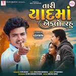 Tari Yaad Ma Eklo Rahu