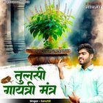 Tulsi Gayatri Mantra