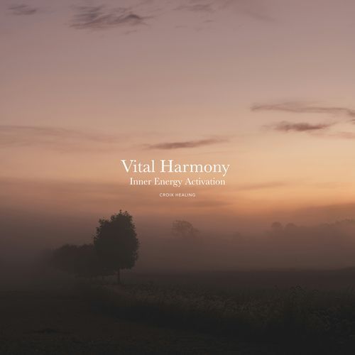 Healing Light Resonance cover art