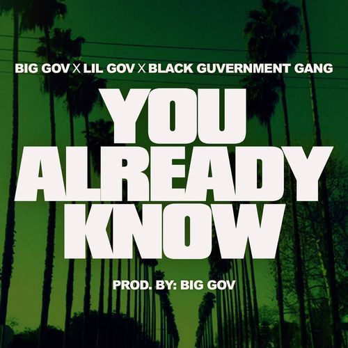 You Already Know (feat. Lil Gov & Black Guvernment Gang) cover art