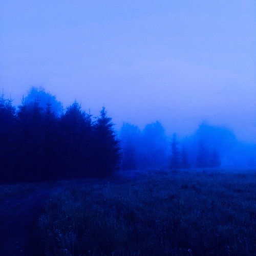 hurt is gone cover art