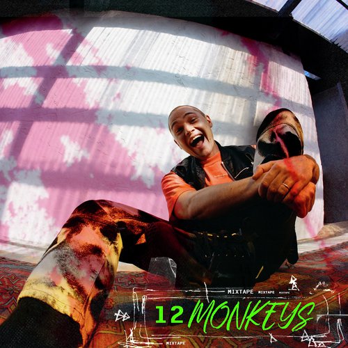 12 Monkeys Mixtape_poster_image