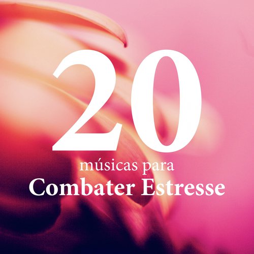 Relaxar E Aprender cover art