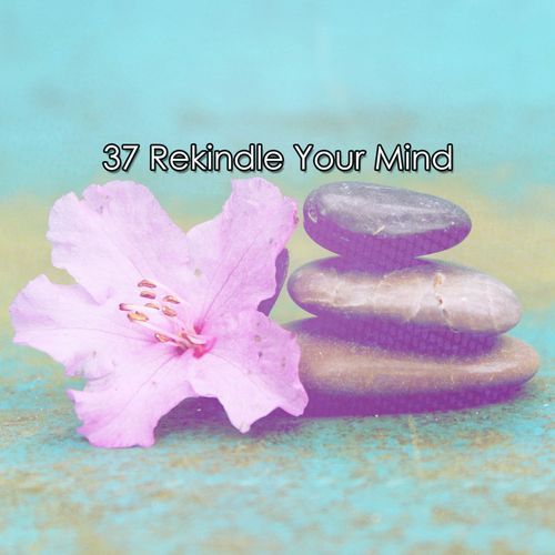 37 Rekindle Your Mind_poster_image