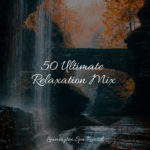 50 Ultimate Relaxation Mix