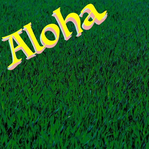 Aloha