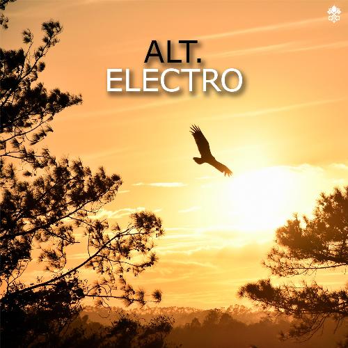 Alt. Electro_poster_image