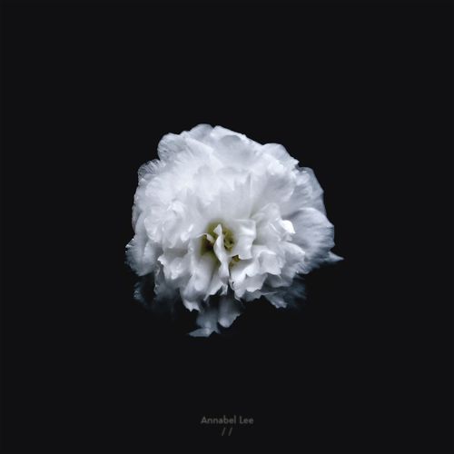 Only Human cover art
