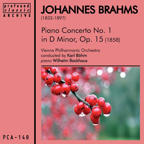 Piano Concerto No. 1 in D Minor, Op. 15: III. Rondo. Allegro non troppo