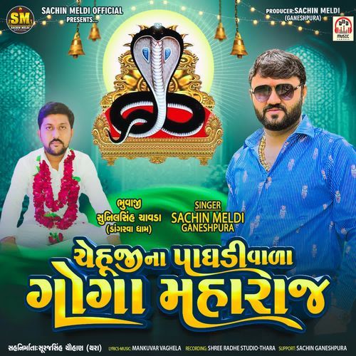 Chehul Ji Paghadivada Goga Maharaj