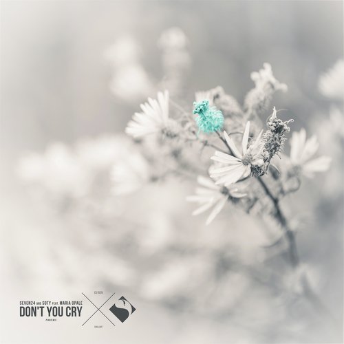 Don't You Cry_poster_image