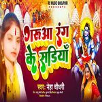 Guruaa Rang Ke Sadiya