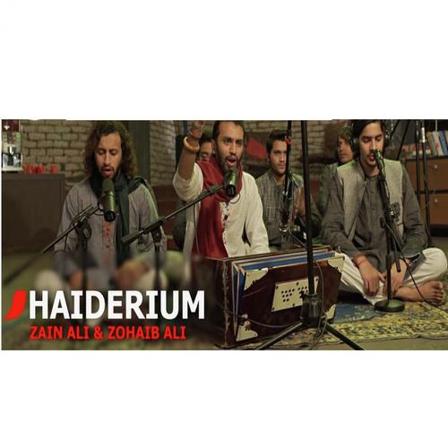 HAIDERIUM_poster_image