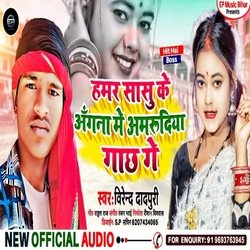 Hummer Sasu Ke Angana Mein Amrudiya Gaach Gaye