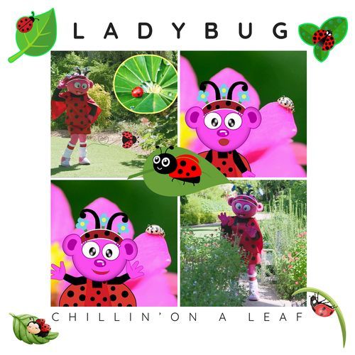 Ladybug Chillin' on a Leaf cover art