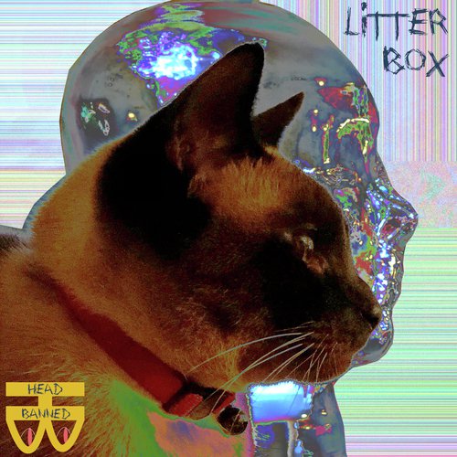 Litter Box