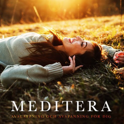 Meditera_poster_image