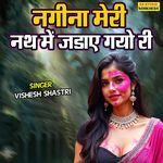 Nagina Meri Nath Main Jadaye Gayo Ri