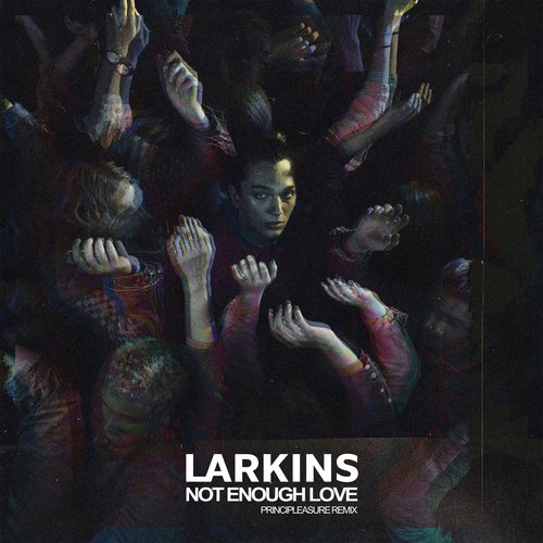 Not Enough Love (Principleasure Remix) cover art