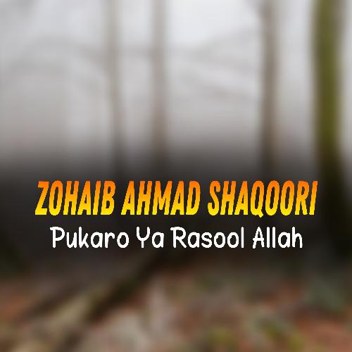 Pukaro Ya Rasool Allah