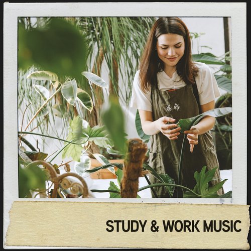 Work Focus cover art