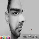 Teri Yaadan