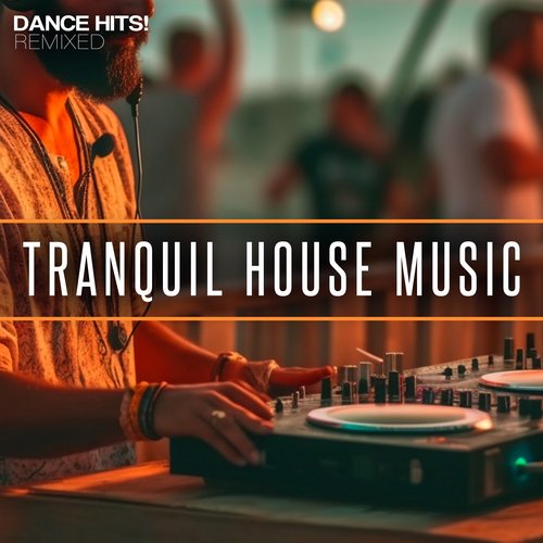 Tranquil House Music_poster_image