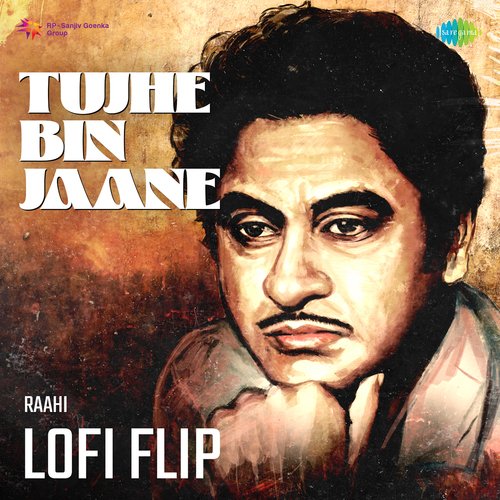 Tujhe Bin Jaane Lofi Flip