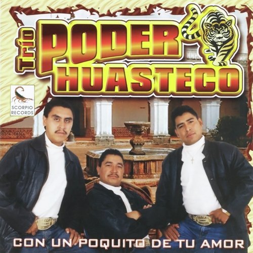 Un Poquito de Tu Amor