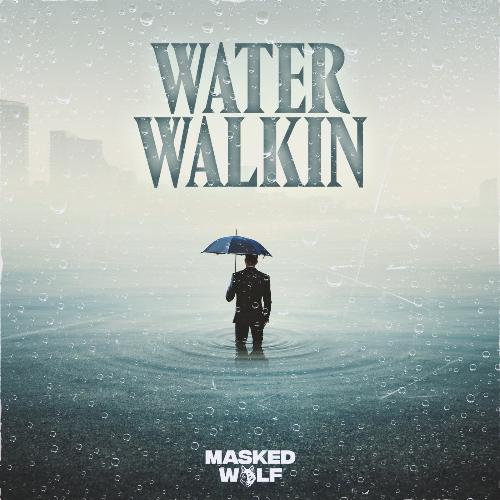 Water Walkin_poster_image