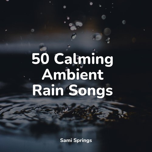 50 Calming Ambient Rain Songs