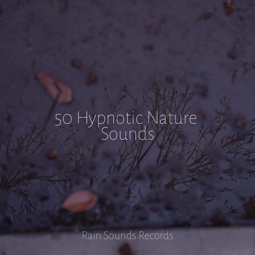 50 Hypnotic Nature Sounds