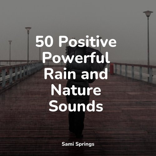 Rain, Storm and Thunder cover art