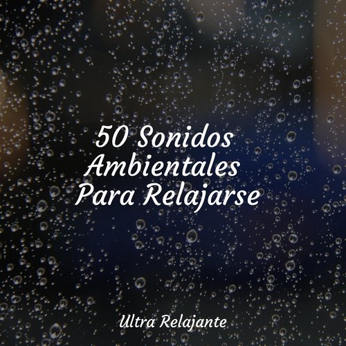 50 Sonidos Ambientales Para Relajarse