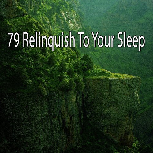 79 Relinquish to Your Sleep_poster_image