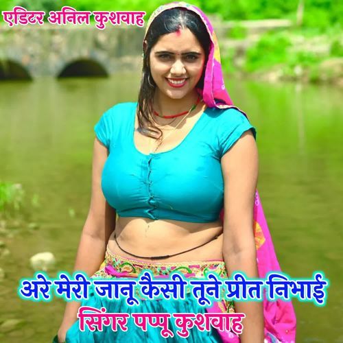 Are Meri Janu Kesi Tune Priti Nibhai