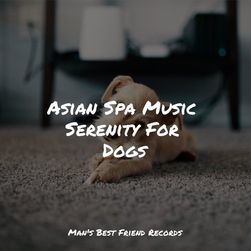 Meditating Music cover art