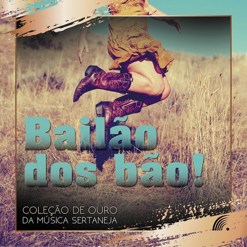 Bailão Dos Bão_poster_image