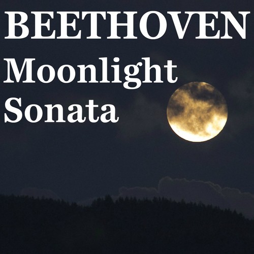 Piano Sonata No. 14, Op. 27 No. 2 "Moonlight": III. Presto agitato