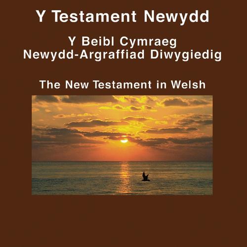 Cymraeg Testament Newydd Da Newyddion Beibl (ddramateiddio) - Welsh Bible
