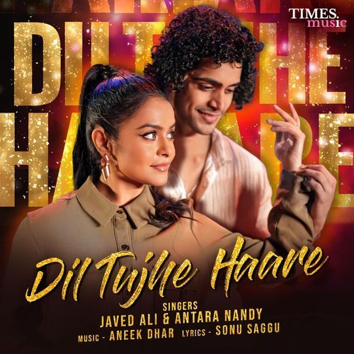 Dil Tujhe Haare