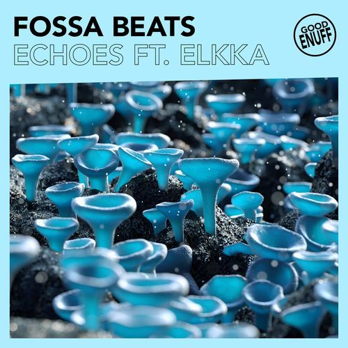 Echoes (feat. Elkka) cover art