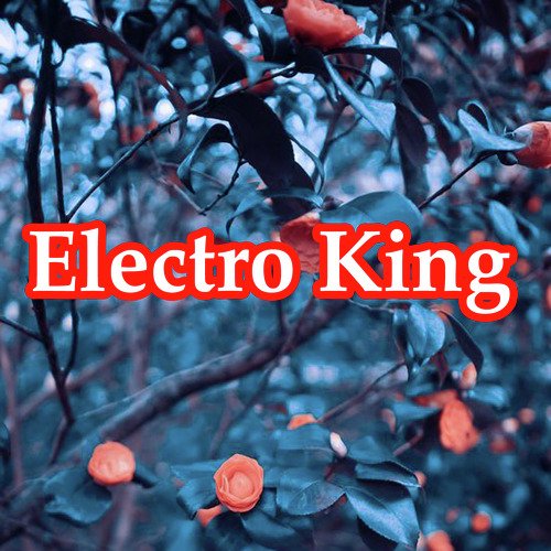 Electro King