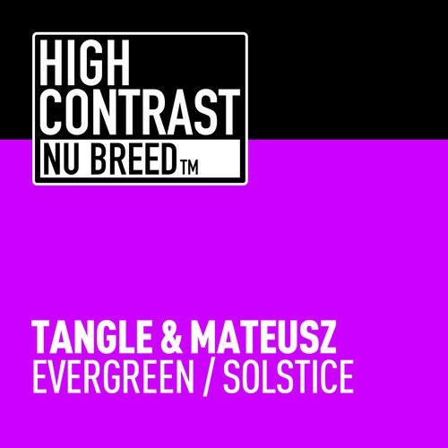 Evergreen / Solstice