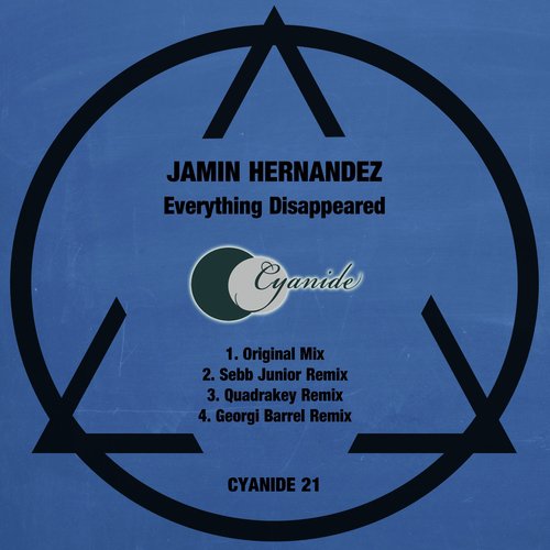 Everything Disappeared (Sebb Junior Remix)